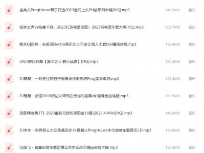 车载音乐 DJ串烧劲爆歌曲三百首