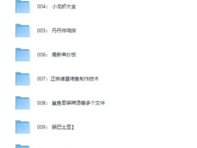 花了2.4万，全部买下来的小吃制作教程，适合小本创业学艺